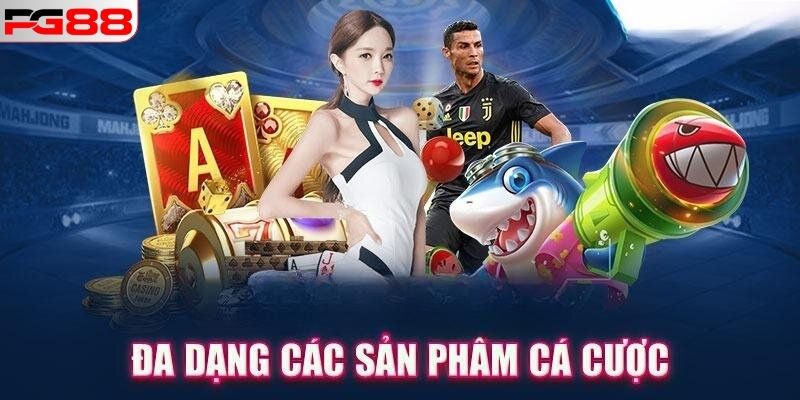 VỀ CHÚNG TÔI 3 Siêu phẩm quy tụ tại địa chỉ chất lượng